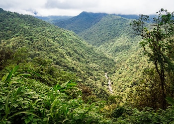 Guapiles