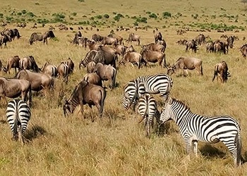 Nairobi