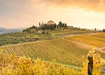 Gaiole In Chianti
