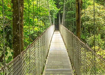 Monteverde
