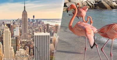 New York and Aruba New York and Aruba