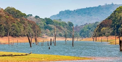South India and Periyar Lake South India and Periyar Lake