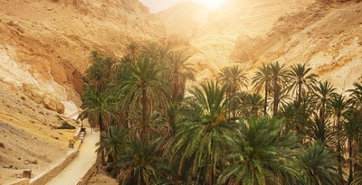 Route through Oases, Sea and Dunes Route through Oases, Sea and Dunes