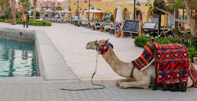Cairo, 4-night-Cruise and Hurghada Cairo, 4-night-Cruise and Hurghada