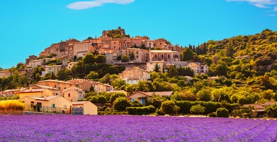 Lavender Route around Provence and the French Riviera Lavender Route around Provence and the French Riviera