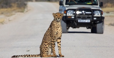 Route from the Etosha National Park to the Namib Desert Route from the Etosha National Park to the Namib Desert