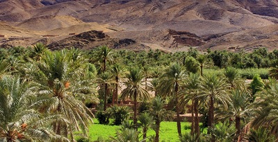 Marrakesh and Zagora Desert in riads Marrakesh and Zagora Desert in riads