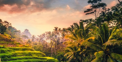 Singapore, Lovina, Candidasa, Ubud and Beaches of South Bali Singapore, Lovina, Candidasa, Ubud and Beaches of South Bali
