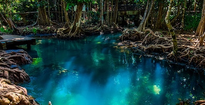 From Bangkok to Northern Thailand and Krabi From Bangkok to Northern Thailand and Krabi