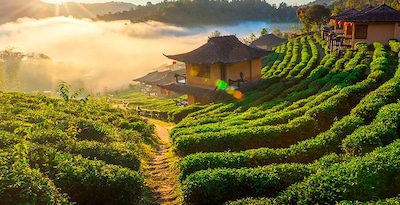 Northern Thailand with Mae Hong Son and Maldives Northern Thailand with Mae Hong Son and Maldives