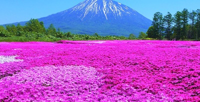 Hokkaido and Tokyo Route Hokkaido and Tokyo Route