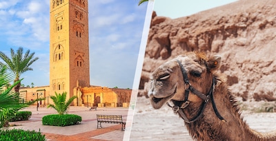 Marrakesh and the Agafay desert Marrakesh and the Agafay desert