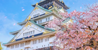 Osaka, Kyoto, Tokyo, Phuket and Phi Phi Osaka, Kyoto, Tokyo, Phuket and Phi Phi