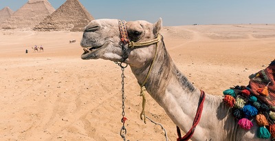 Cairo, 3-night-Cruise and Hurghada Cairo, 3-night-Cruise and Hurghada