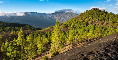La Palma