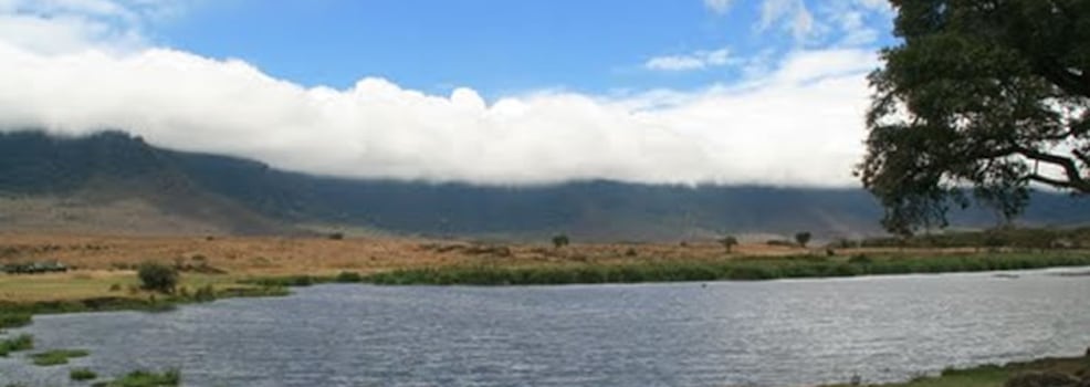 Ngorongoro