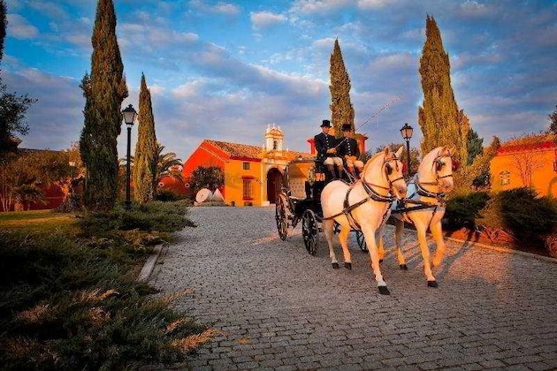 Gallery - Eurostars Hacienda La Boticaria Sevilla
