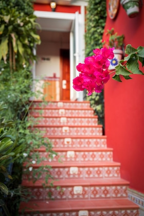 Gallery - Hotel Romerito