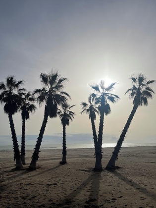 Gallery - Agh Canet Hotel