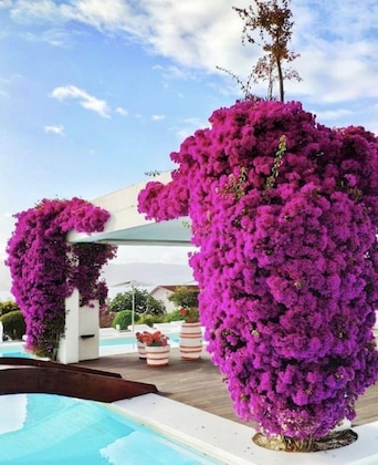 Gallery - Augusta Eco Wellness Resort