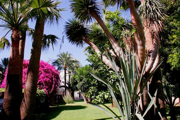 Gallery - Hotel Apartamentos Bajondillo