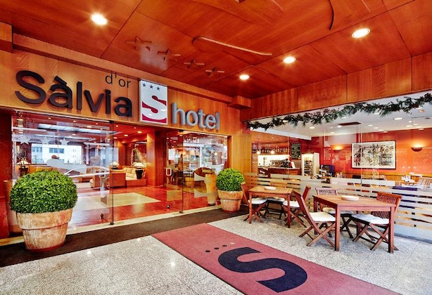 Gallery - Salvia D'or