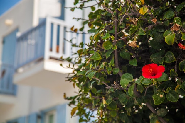 Gallery - Aeolos Resort Mykonos