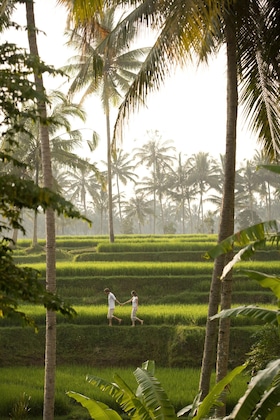 Gallery - Kamandalu Ubud