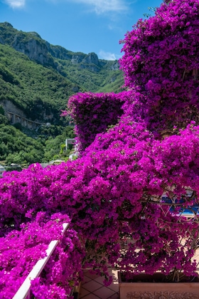 Gallery - Positano Art Hotel Pasitea