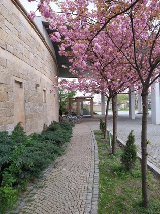 Gallery - Zakrzowek Residence