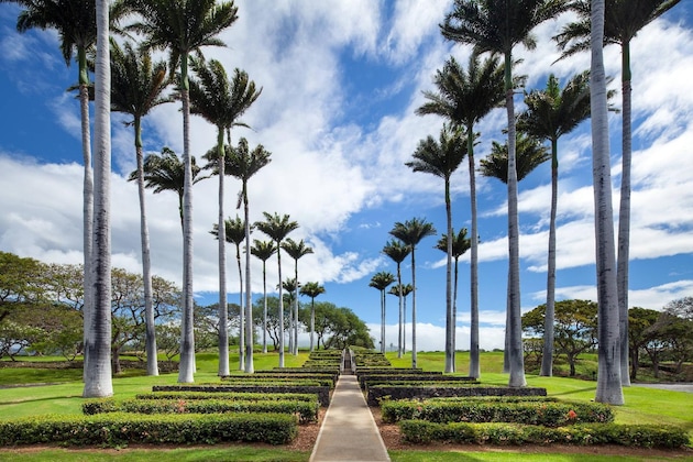 Gallery - The Westin Hapuna Beach Resort