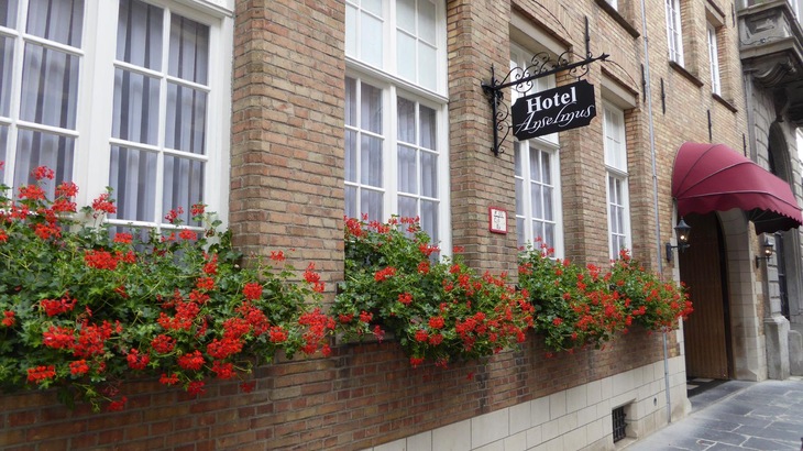 Gallery - The Black Swan Hotel