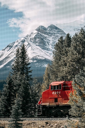 Gallery - Mountaineer Lodge