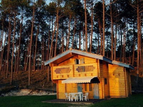 Gallery - Les Pins D'or