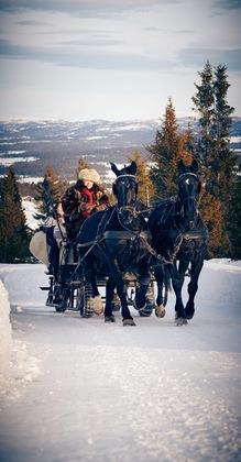 Gallery - Storefjell Resort Hotel