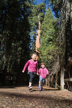 Gallery - Wuksachi Lodge