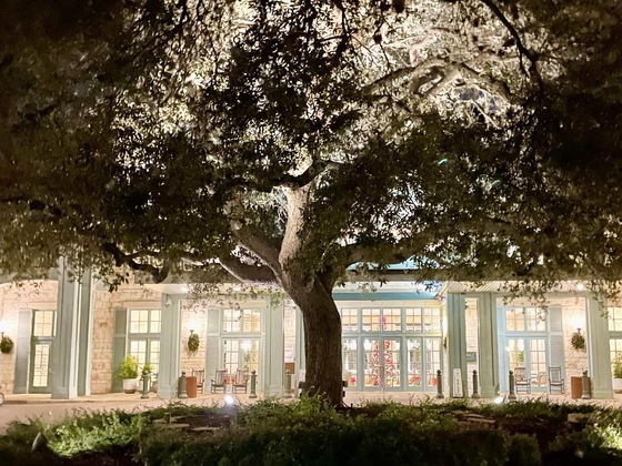 Gallery - Hyatt Regency Hill Country Resort And Spa