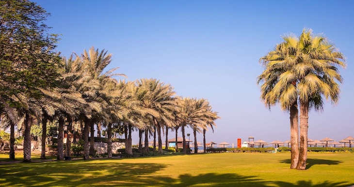 Gallery - Coral Beach Resort