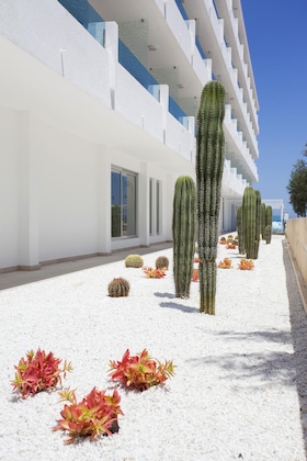 Gallery - The Sea Hotel By Grupotel - Adults Only