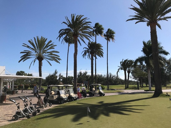 Gallery - Bungalows Las Almenas