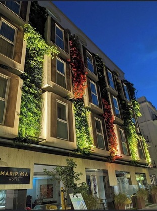 Gallery - Mariposa Hotel Malaga