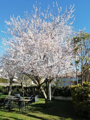 Gallery - Hotel Ancora