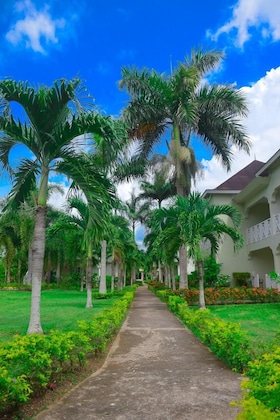Gallery - Coral Seas Beach Resort