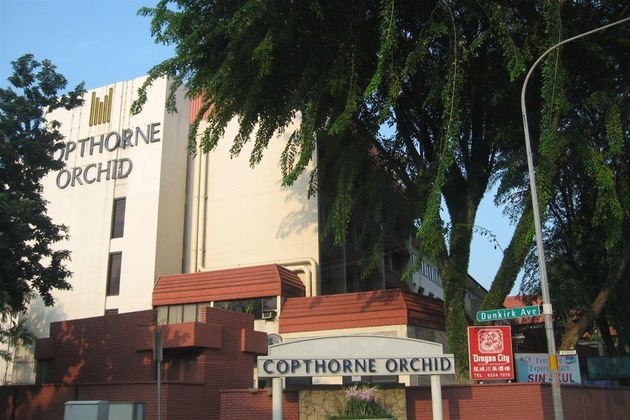 Gallery - Copthorne Orchid