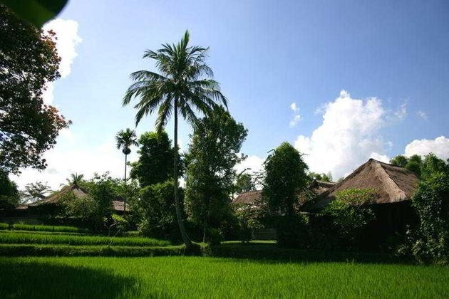 Gallery - Ananda Cottages
