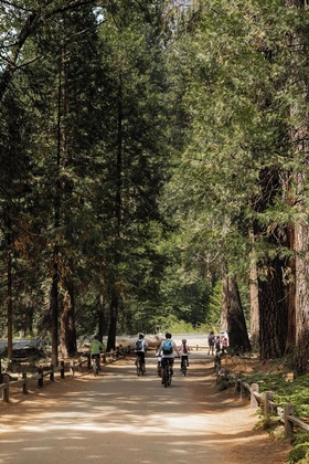 Gallery - Tenaya Lodge At Yosemite