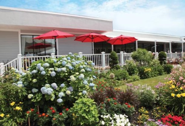 Gallery - Margaritaville Resort Cape Cod
