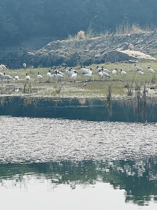 Gallery - Shikarbadi Hotel
