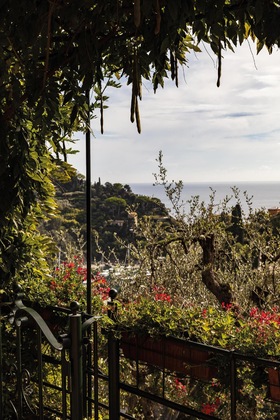 Gallery - Splendido, A Belmond Hotel