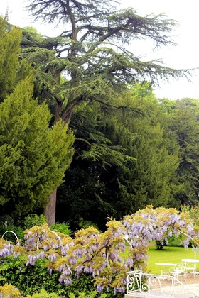 Gallery - Le Choiseul